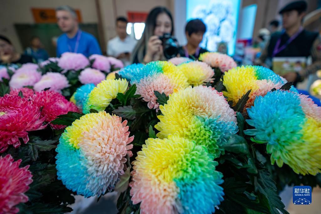 博壹论坛白菜大全